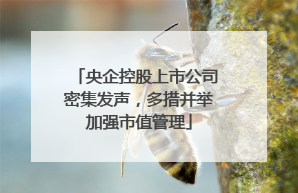 央企控股上市公司密集发声，多措并举加强市值管理