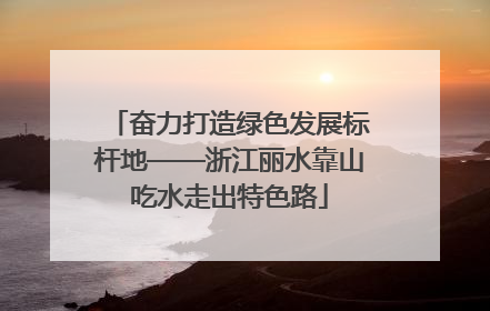 奋力打造绿色发展标杆地——浙江丽水靠山吃水走出特色路