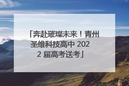 奔赴璀璨未来！青州圣维科技高中 2022 届高考送考