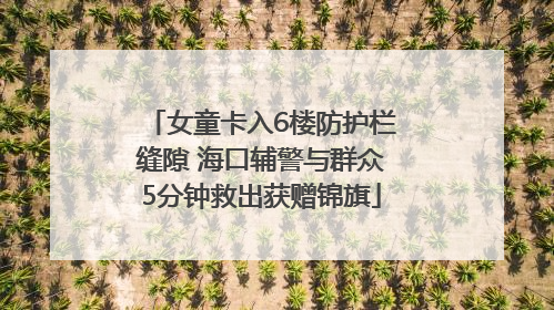 女童卡入6楼防护栏缝隙 海口辅警与群众5分钟救出获赠锦旗