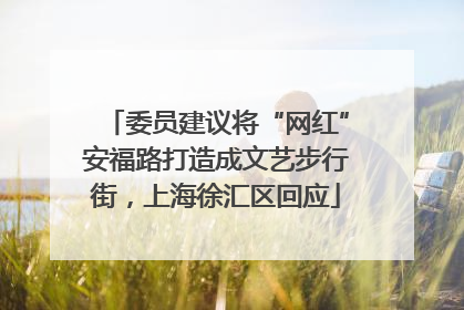 委员建议将“网红”安福路打造成文艺步行街，上海徐汇区回应