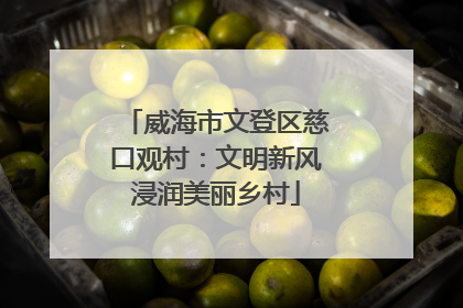 威海市文登区慈口观村：文明新风浸润美丽乡村