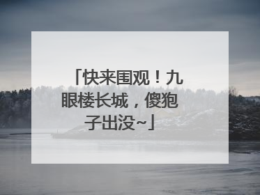 快来围观！九眼楼长城，傻狍子出没~