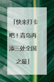 快来打卡吧！青岛再添三处全国之最