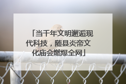 当千年文明邂逅现代科技，随县炎帝文化庙会燃爆全网