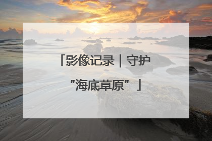 影像记录｜守护“海底草原”