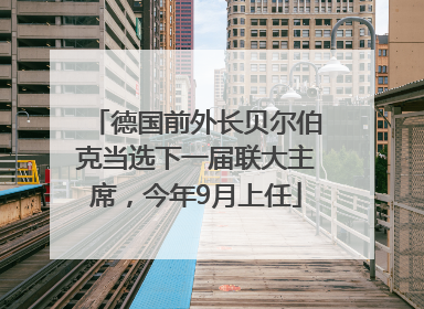 德国前外长贝尔伯克当选下一届联大主席，今年9月上任