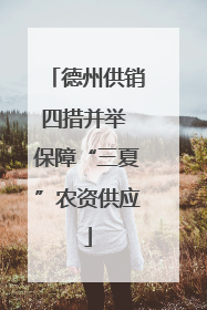 德州供销四措并举 保障“三夏”农资供应