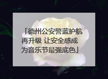 德州公安警蓝护航再升级 让安全感成为音乐节最强底色