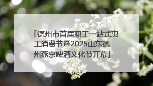 德州市首届职工一站式惠工消费节暨2025山东德州燕京啤酒文化节开幕