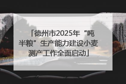 德州市2025年“吨半粮”生产能力建设小麦测产工作全面启动