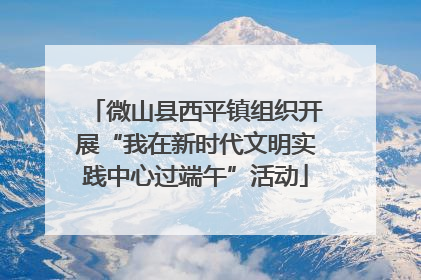 微山县西平镇组织开展“我在新时代文明实践中心过端午”活动