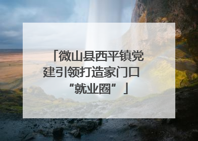 微山县西平镇党建引领打造家门口“就业圈”