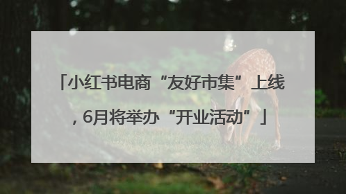 小红书电商“友好市集”上线，6月将举办“开业活动”