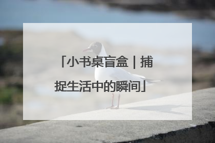 小书桌盲盒｜捕捉生活中的瞬间