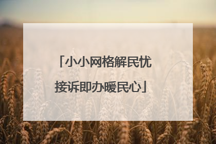 小小网格解民忧 接诉即办暖民心