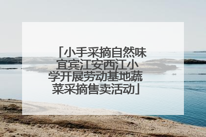 小手采摘自然味 宜宾江安西江小学开展劳动基地蔬菜采摘售卖活动