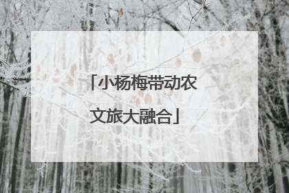 小杨梅带动农文旅大融合