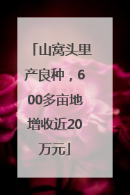 山窝头里产良种，600多亩地增收近20万元