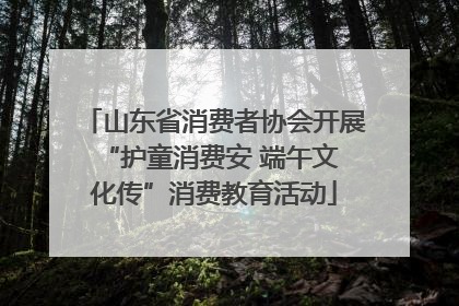 山东省消费者协会开展 “护童消费安 端午文化传”消费教育活动