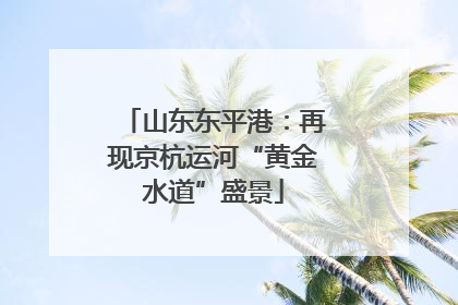 山东东平港：再现京杭运河“黄金水道”盛景