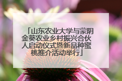 山东农业大学与蒙阴金葵农业乡村振兴合伙人启动仪式暨新品种蜜桃推介活动举行