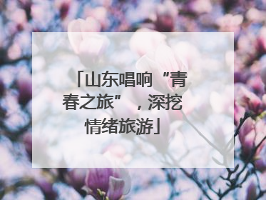 山东唱响“青春之旅”，深挖情绪旅游