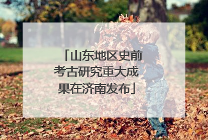 山东地区史前考古研究重大成果在济南发布