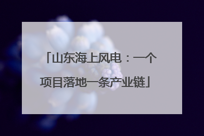 山东海上风电：一个项目落地一条产业链