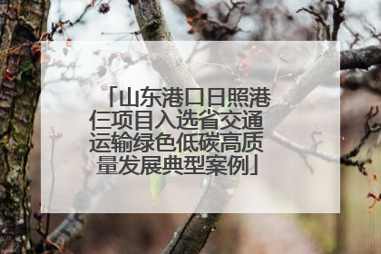 山东港口日照港仨项目入选省交通运输绿色低碳高质量发展典型案例
