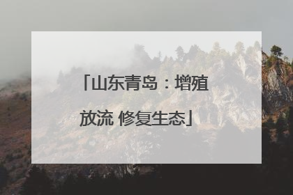 山东青岛：增殖放流 修复生态