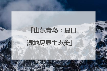 山东青岛：夏日湿地尽显生态美