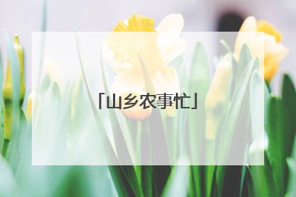 山乡农事忙