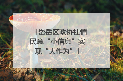 岱岳区政协社情民意“小信息”实现“大作为”
