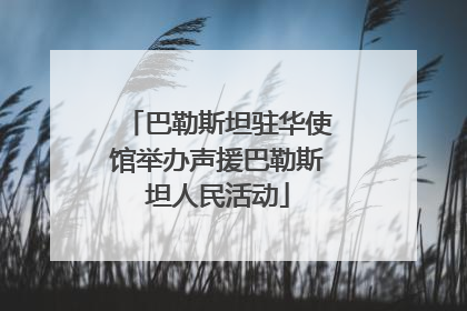 巴勒斯坦驻华使馆举办声援巴勒斯坦人民活动
