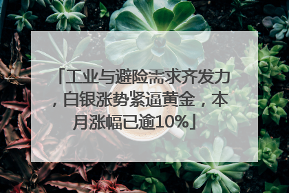 工业与避险需求齐发力，白银涨势紧逼黄金，本月涨幅已逾10%