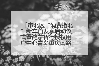 市北区“消费指北”新车首发季启动仪式暨鸿蒙智行授权用户中心青岛重庆南路开业盛典成功举办