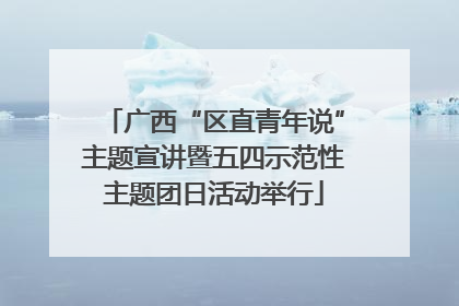 广西“区直青年说”主题宣讲暨五四示范性主题团日活动举行
