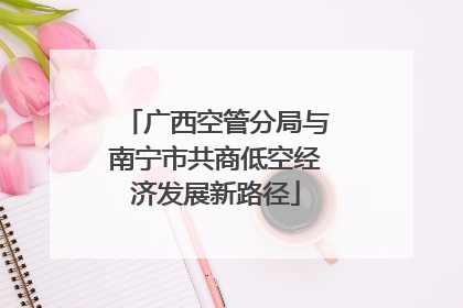 广西空管分局与南宁市共商低空经济发展新路径