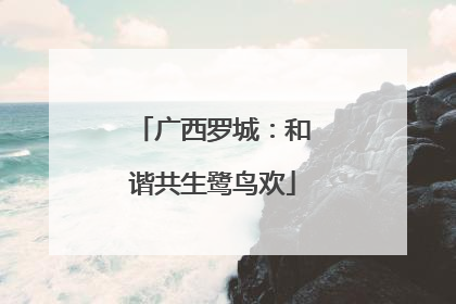 广西罗城：和谐共生鹭鸟欢