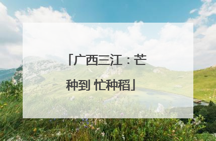 广西三江：芒种到 忙种稻