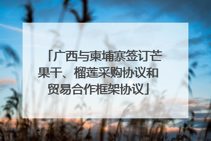 广西与柬埔寨签订芒果干、榴莲采购协议和贸易合作框架协议