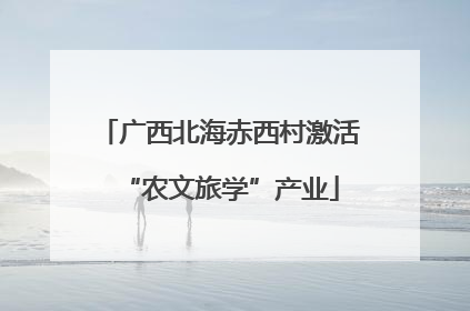 广西北海赤西村激活“农文旅学”产业