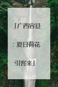 广西容县：夏日荷花引客来