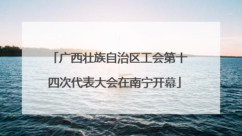 广西壮族自治区工会第十四次代表大会在南宁开幕