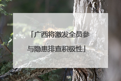 广西将激发全员参与隐患排查积极性
