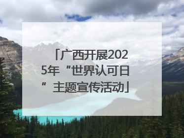广西开展2025年“世界认可日”主题宣传活动