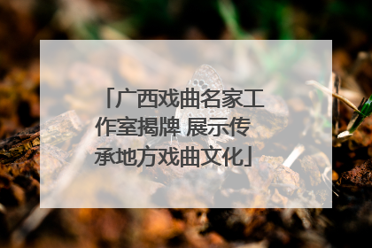 广西戏曲名家工作室揭牌 展示传承地方戏曲文化