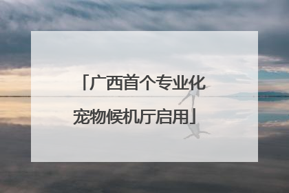 广西首个专业化宠物候机厅启用