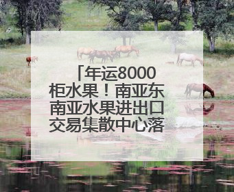 年运8000柜水果！南亚东南亚水果进出口交易集散中心落地昆明